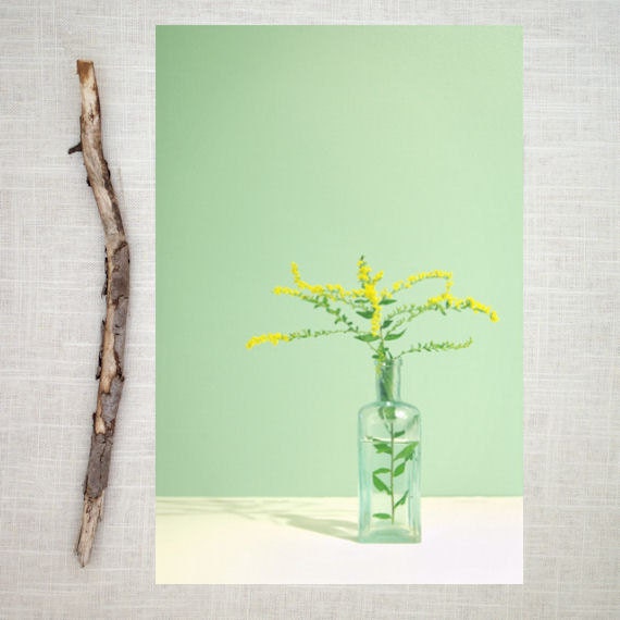 Nature Botanical Art Photograph - Goldenrod - 8x12