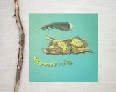 Nature Collection Art Photograph - Natural Gifts - 8x8