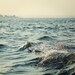 Sea Photography Print for Ocean Lovers - Island in a Blue Bay - 8x8