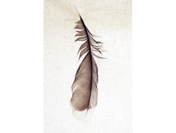 Photography of Nature - Autumn Collection - Ephemeral - 8"x12"