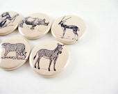 6 Animal Magnets / African Safari / 6 one inch fridge magnets / magnabilities - PipingHotPapers