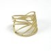 Gold Dragonfly Wing