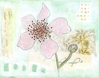 Blackberry blossom -  Pale pink flower botanical art mixed media collage nature natural garden white Fine Art Botanical Print 5x7