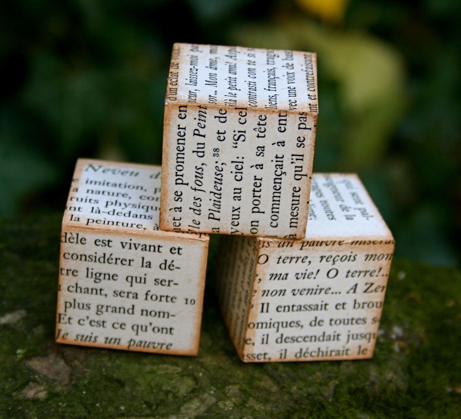 French Text Blocks - Set of 3 Decorative Blocks in French