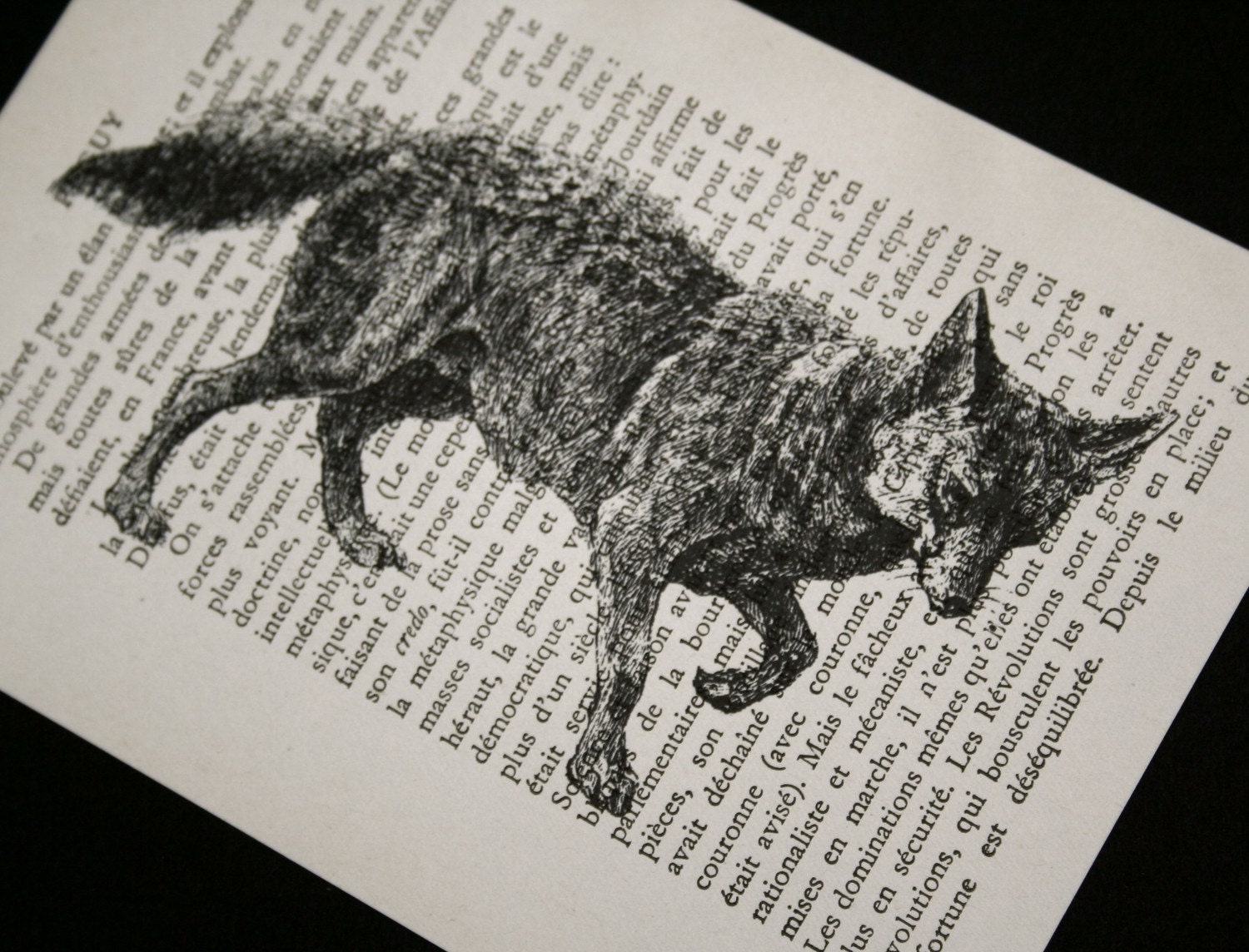 Fox Print  on Vintage French Book Page - 5 x 7 The Stalking Fox
