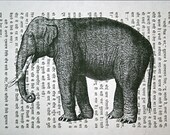Asian Elephant Print on Vintage Hindi Book Page - 5 x 7 Book Page Print of India Elephant Art