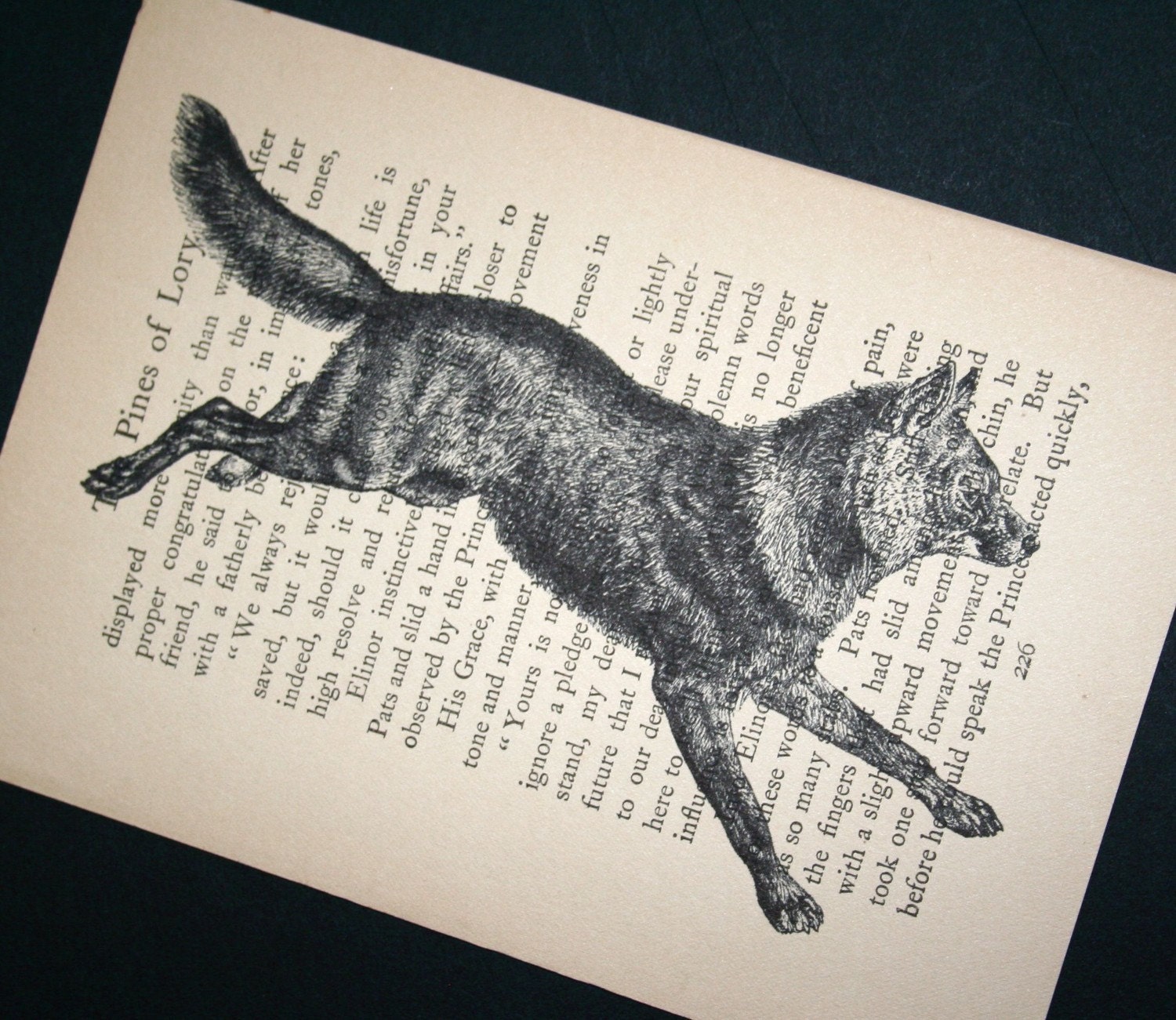 Wolf Print on Vintage Book Page - 5 x 7