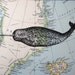 Narwhal Print on Arctic Map Greenland and Iceland - 5 x 7 Narwhal Map Print