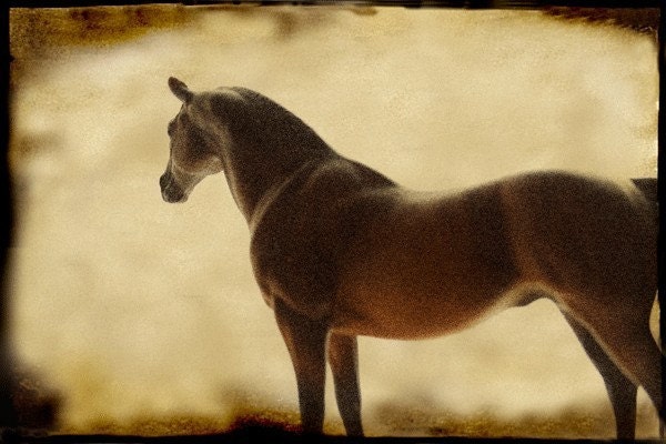 Greener Pastures (Fund for Dawns Boys 100 percent donated)