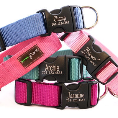 Laser Etched Personalized Webbing Dog Collar - 18 colors