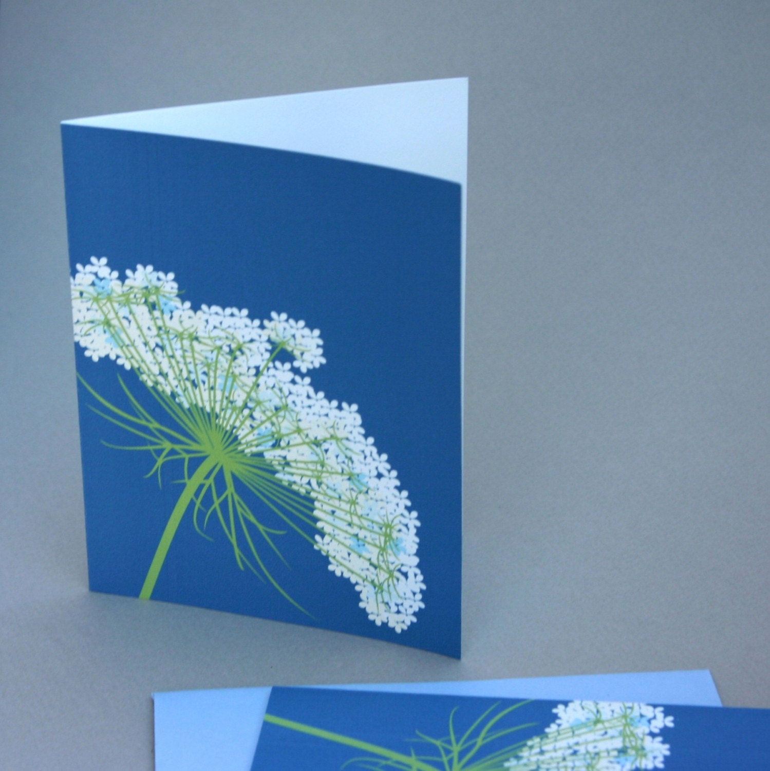 Queen Anne's Lace Notecards, Set of 4 Blue White Flower Wildflower Spring Summer Nature Natural History