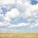 Meadow 8 x 10 Photograph Art Print Landscape Fields Summer Clouds Sky Grass