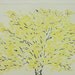 ink and watercolour original tree drawing on washi