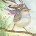 Princess Fairy Limited Print - in Purple Resting on Wren Bird at Dawn