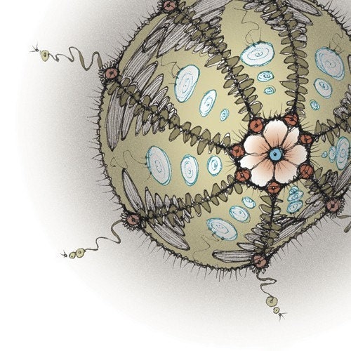 Sassy Sea Urchin (Large Snow Limited Edition Print)