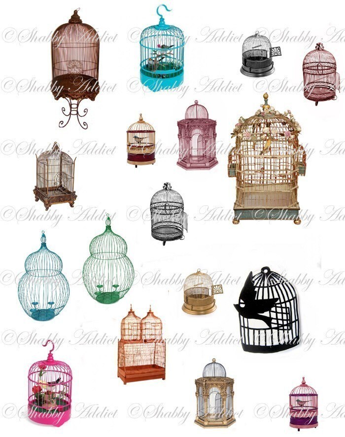 Bird Cages Vintage