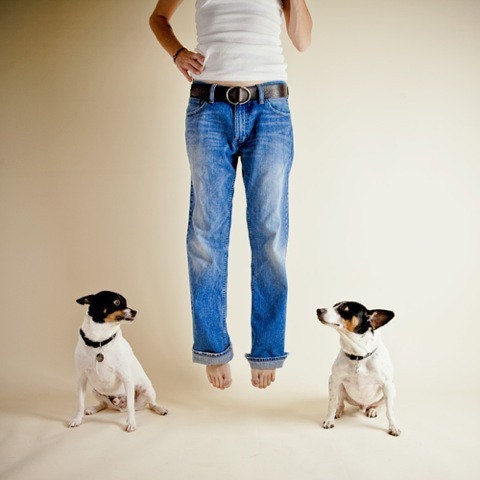my dogs think I am magic