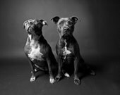 brother & sister