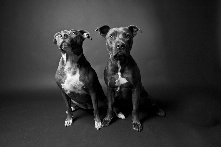 brother & sister