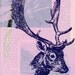 magazine deer