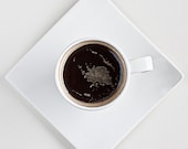 Coffee - Original Signed Fine Art Photography Print 6x6 inches (15x15 cm) - VaidaPhoto