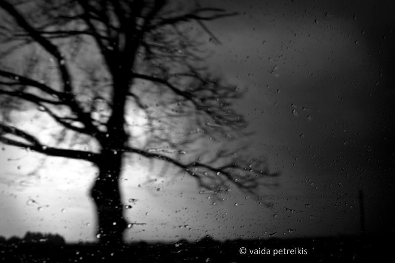 Into the Night - 4x6 inches Fine Art Photograph - dark night with rain drops in black and white - signed limited edition