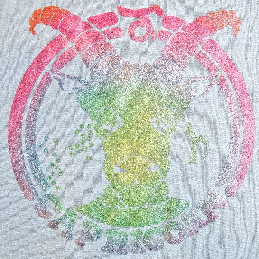 Vintage 1974 Zodiac CAPRICORN Rainbow Glitter Tee Small