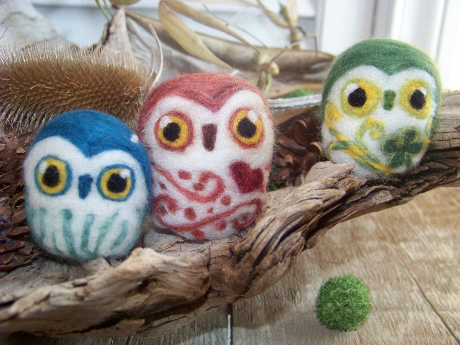 Owl of the Month club- Saw Whet or Great Horned- 12 month subscription