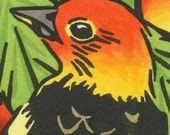 WESTERN TANAGER blank bird greeting card