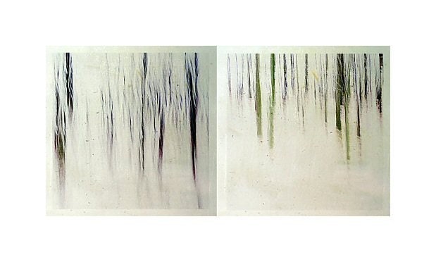 Winter art - Winter photography - Winter Forest Diptych  -  Fine art photography print -  abstract woodland - 5 x 10
