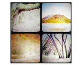 Woodland photography  - Fine art photography prints - A set of 5x5 prints - Ttv  - New zealand