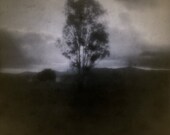 Nature Photography Print, Landscape Photo 4x4 Road Trip, Brown Tree, Earthy Wall Art, Rustic Country Farm Art Photograph Home Decor
