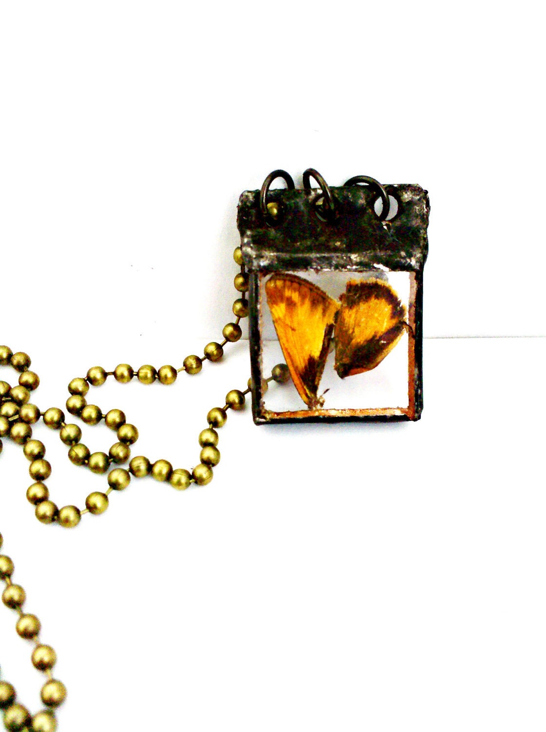 Moth Wings Necklace, Butterfly Wing Jewelry, Soldered Specimen Charm, Wing Necklace, Specimen Jewelry, Moth Charm