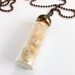 Sand and Shells Necklace, Soldered Vial Pendant, Seashells and Sand Zen Necklace, The Beach Necklace, Soothing Beach Charm