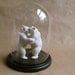 Bears in Love Under Glass