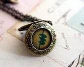 birds on a wire. locket necklace. teal, yellow, and brass ox