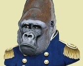 Gorilla print 5x7