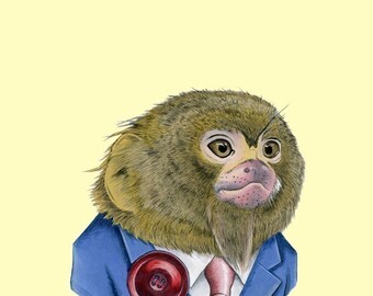 Pygmy Marmoset print 8x10