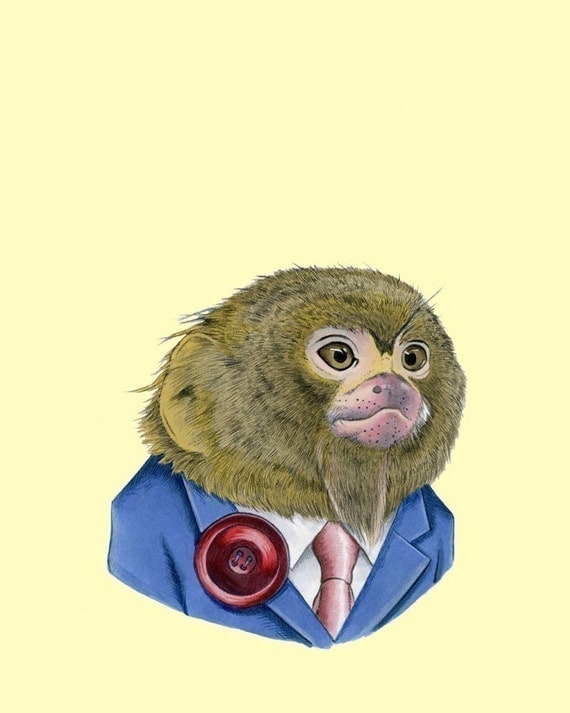 Pygmy Marmoset print 8x10