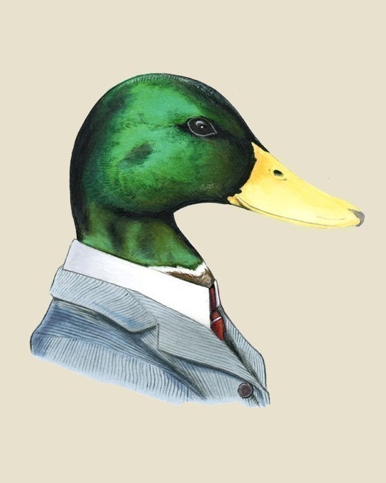 Mallard Duck art print 5x7