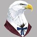 Bald Eagle print 8x10