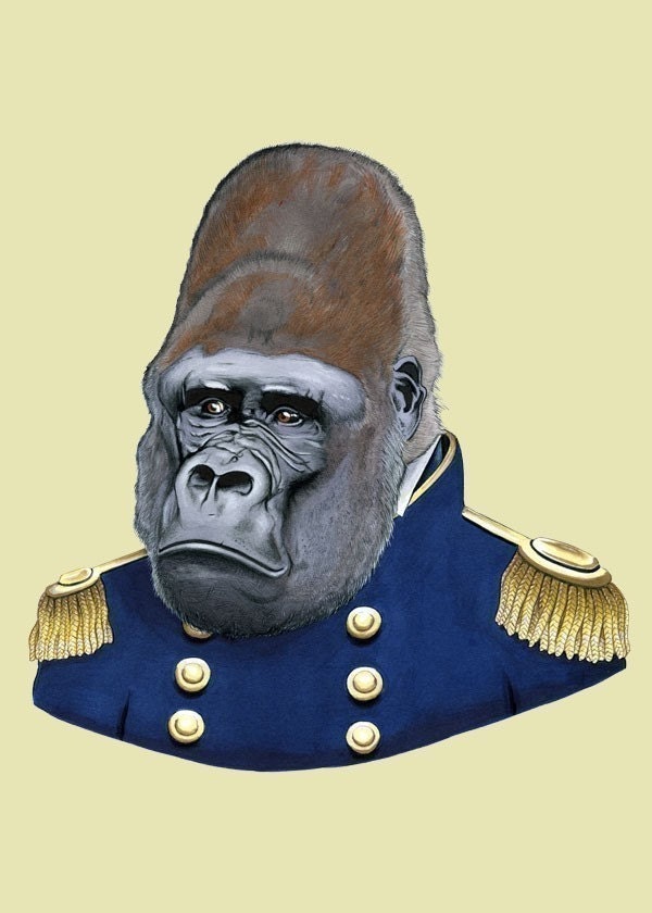 Gorilla print 5x7