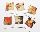 vintage chair polaroid magnets ... set of 6 magnets