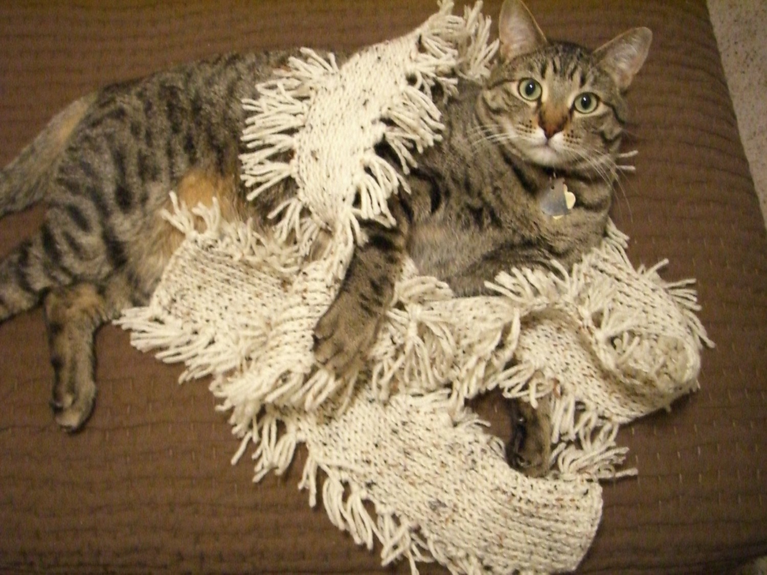 Millipede Scarf