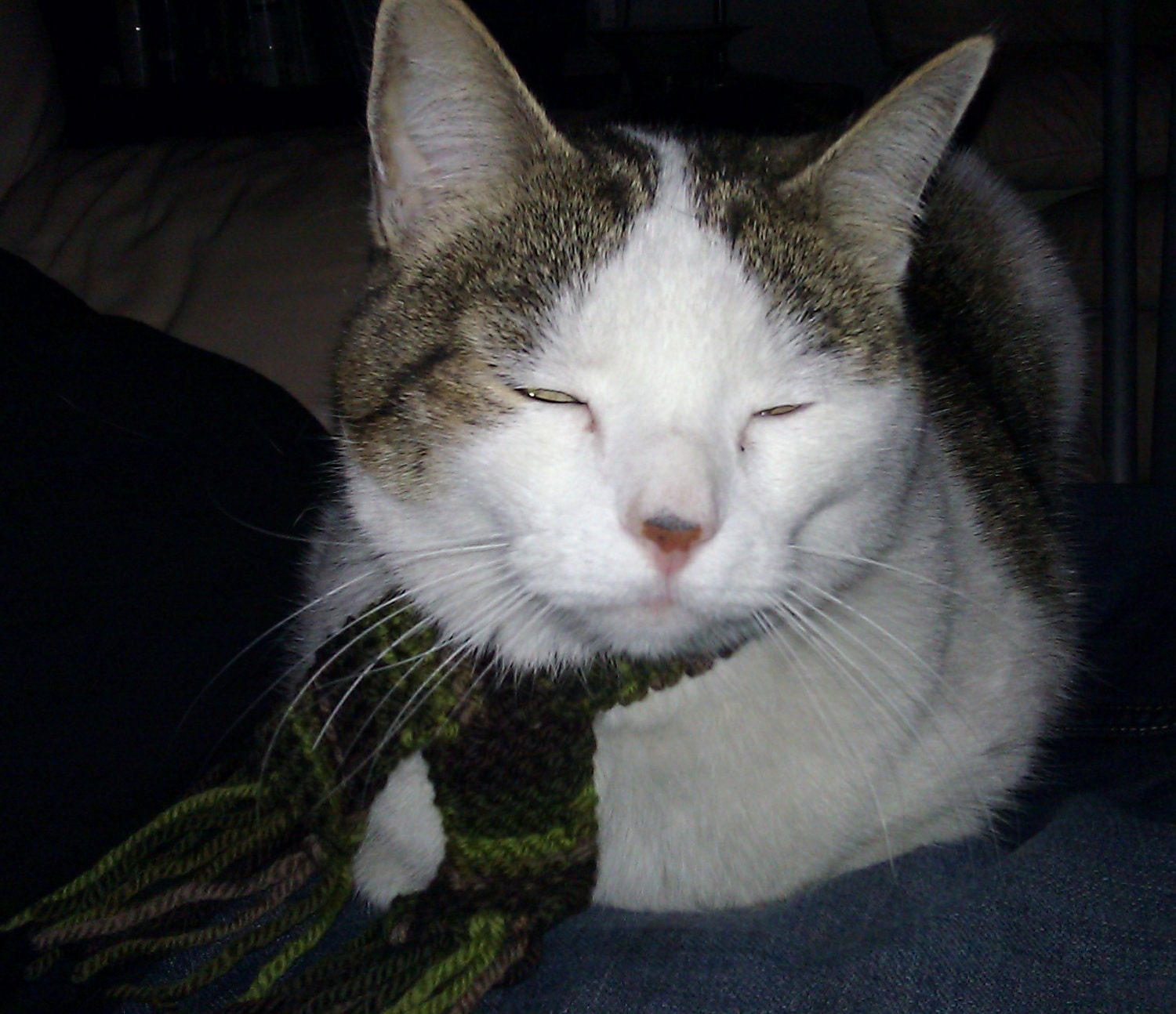Kitty Scarf - Camo