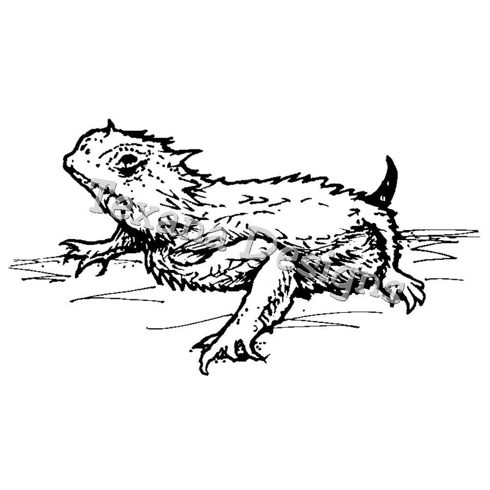 Texas Horned Toad      Cling Mount Rubber Stamp