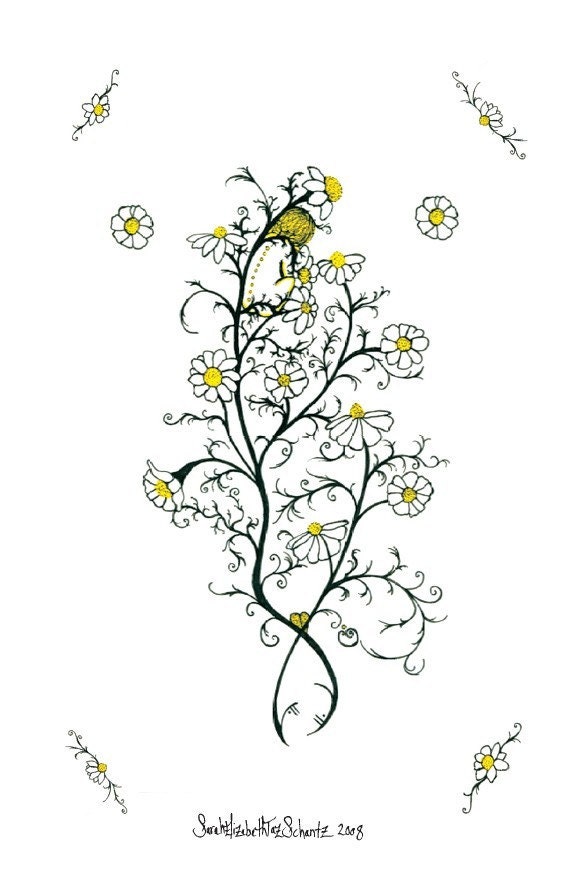 Chamomile, A Greeting Card, Politically Correct