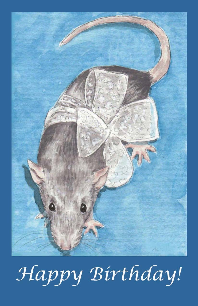 Silver Rat Birthday - Drusilla