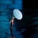 Diorama photograph, umbrella woman rainy city, Half Awake series, Fade - 6x8 photograph