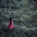 Miniature diorama print, twilight field with girl in red, Half Awake series, Rose - 6x8 photograph